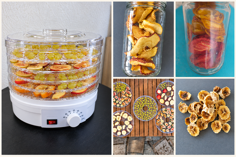Déshydrateur et fruits séchés maison présentés en bocaux et sur plateaux lors de nos premiers essais.