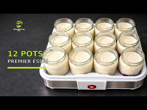 Yaourtière Fromagère 12 Pots en Verre
