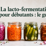 La lacto-fermentation pour débutants : le guide