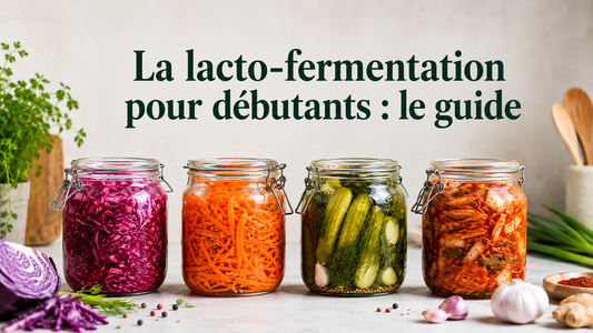 Une rangée de bocaux en verre remplis de légumes lacto-fermentés aux couleurs éclatantes.