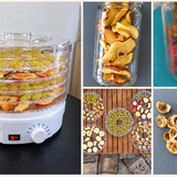 Nos premiers essais au déshydrateur : pommes, bananes, raisins, figues et tomates